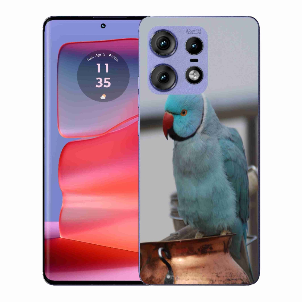 Gélový kryt mmCase na Motorola Edge 50 Pro - papagáj Alexandr modrý