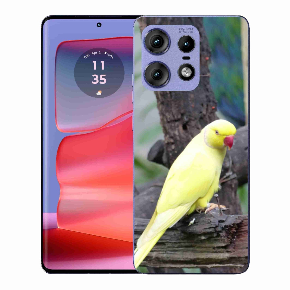 Gélový kryt mmCase na Motorola Edge 50 Pro - papagáj alexander žltý