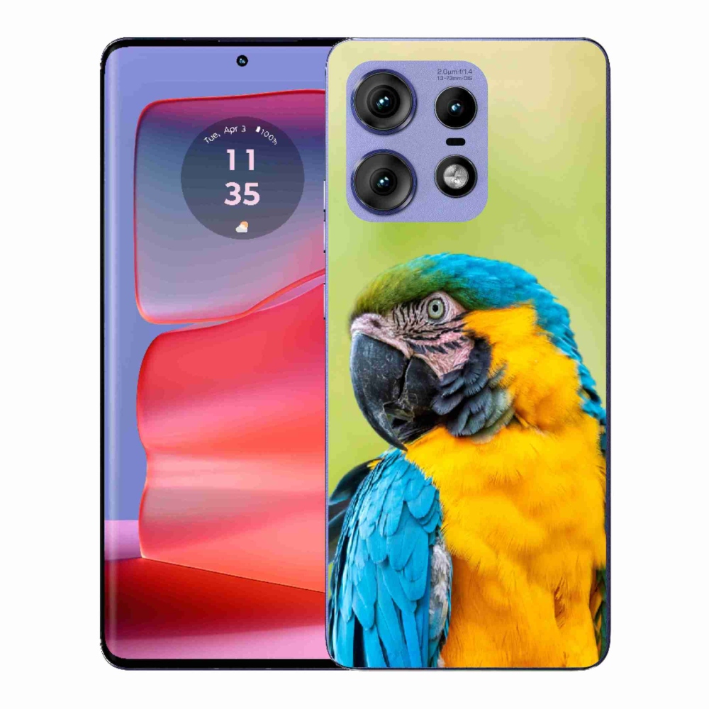 Gélový kryt mmCase na Motorola Edge 50 Pro - papagáj ara 2
