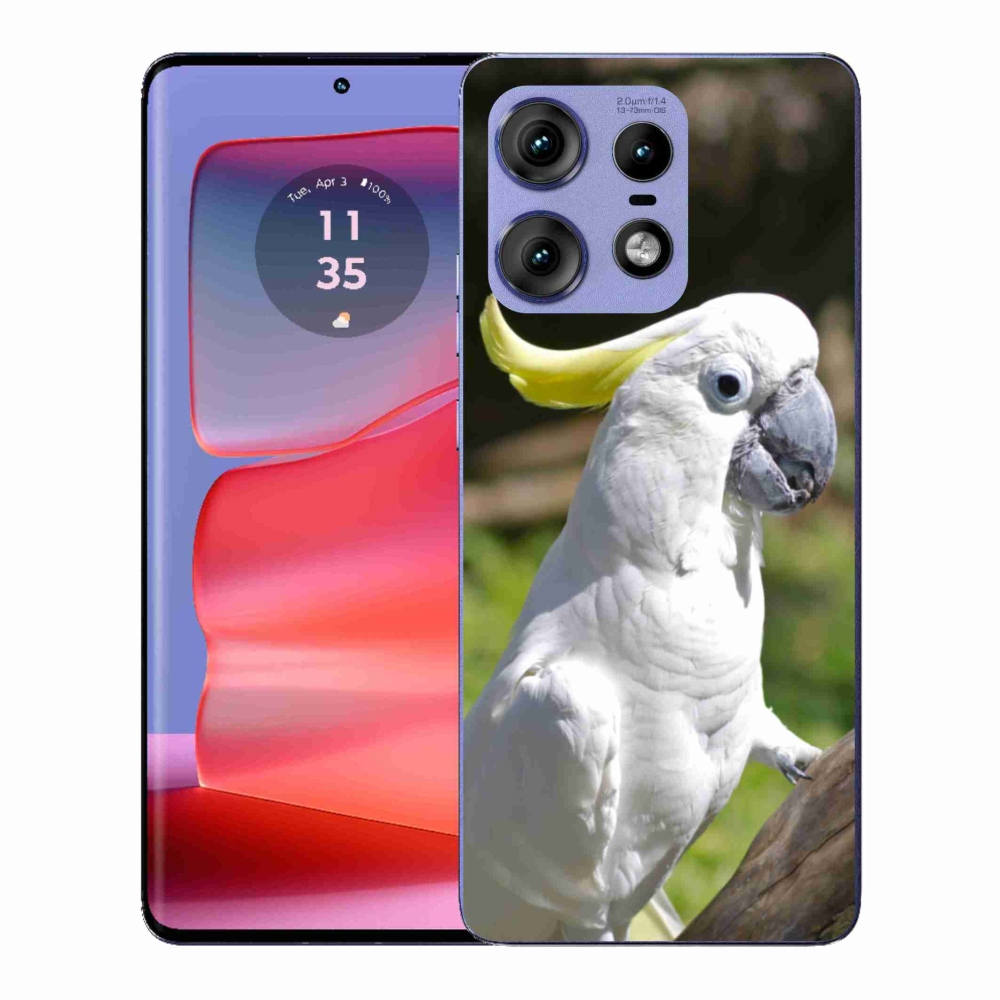 Gélový kryt mmCase na Motorola Edge 50 Pro - papagáj kakadu 2
