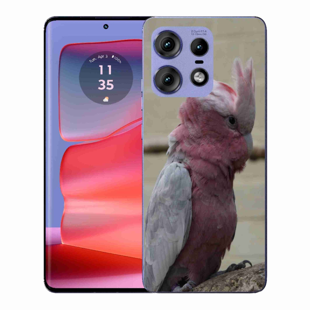 Gélový kryt mmCase na Motorola Edge 50 Pro - papagáj kakadu ružový