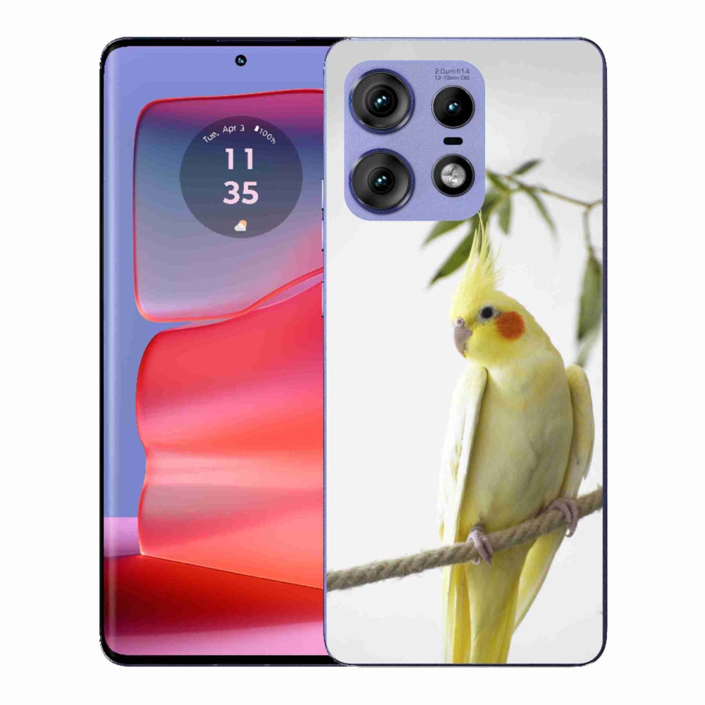 Gélový kryt mmCase na Motorola Edge 50 Pro - papagáj korela chocholatá