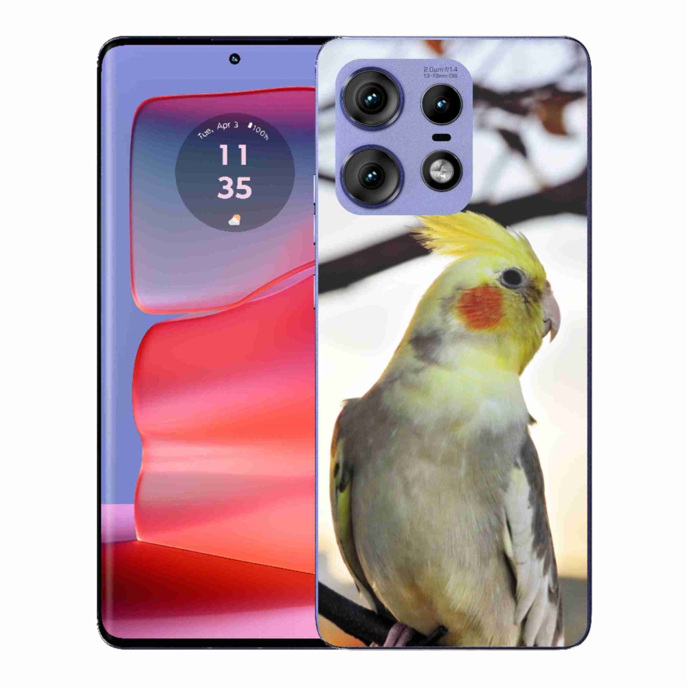 Gélový kryt mmCase na Motorola Edge 50 Pro - papagáj korela