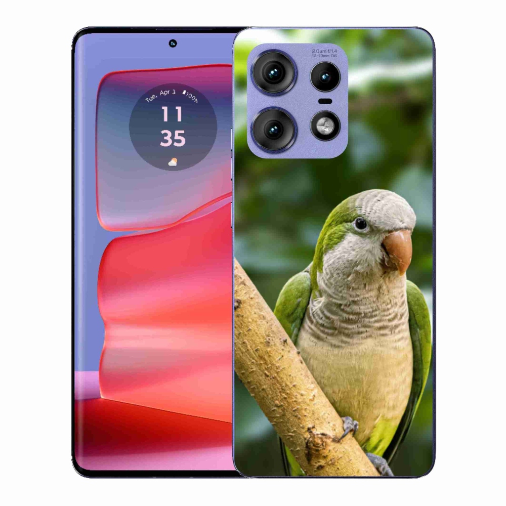 Gélový kryt mmCase na Motorola Edge 50 Pro - papagáj mníšok