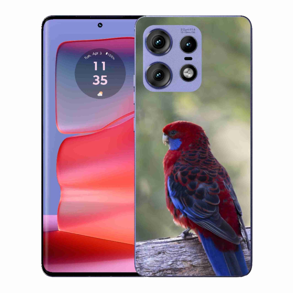 Gélový kryt mmCase na Motorola Edge 50 Pro - papagáj rosela