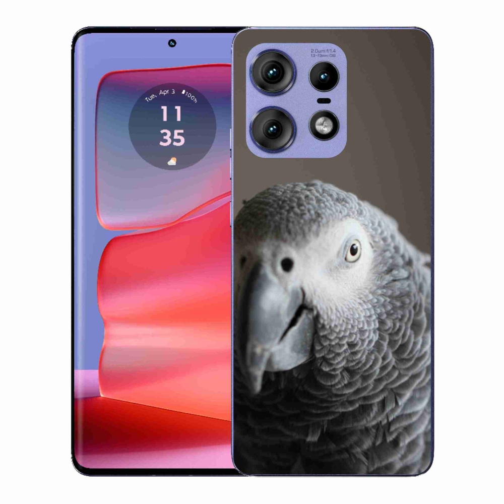 Gélový kryt mmCase na Motorola Edge 50 Pro - papagáj žako 2