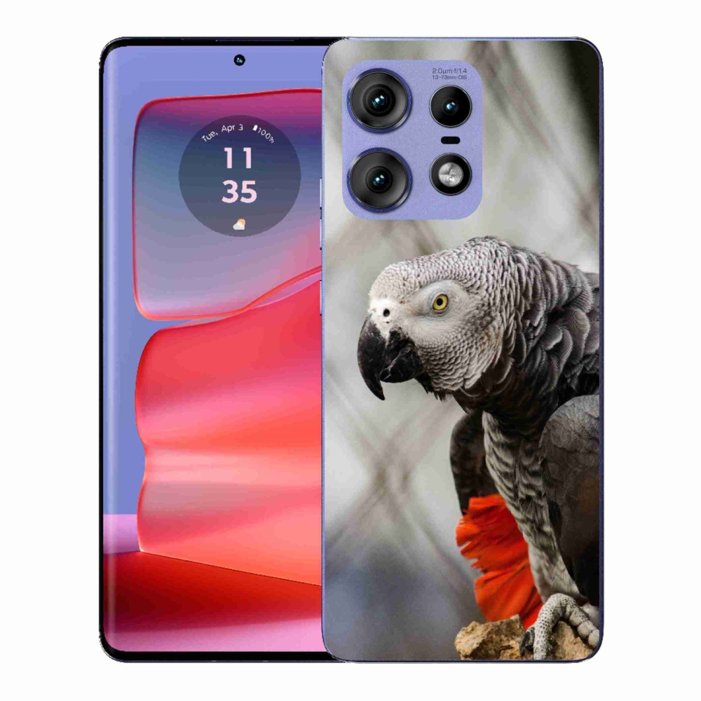 Gélový kryt mmCase na Motorola Edge 50 Pro - papagáj žako 3