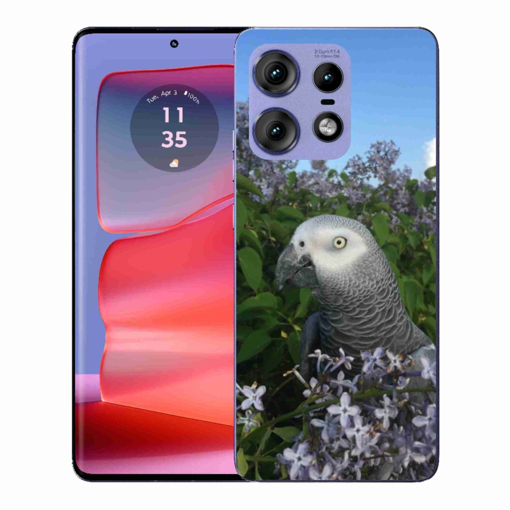 Gélový kryt mmCase na Motorola Edge 50 Pro - papagáj žako