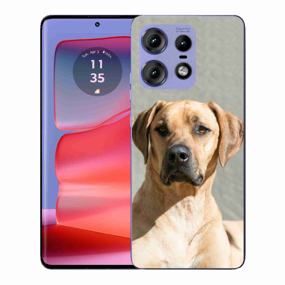 Gélový kryt mmCase na Motorola Edge 50 Pro - ridgeback