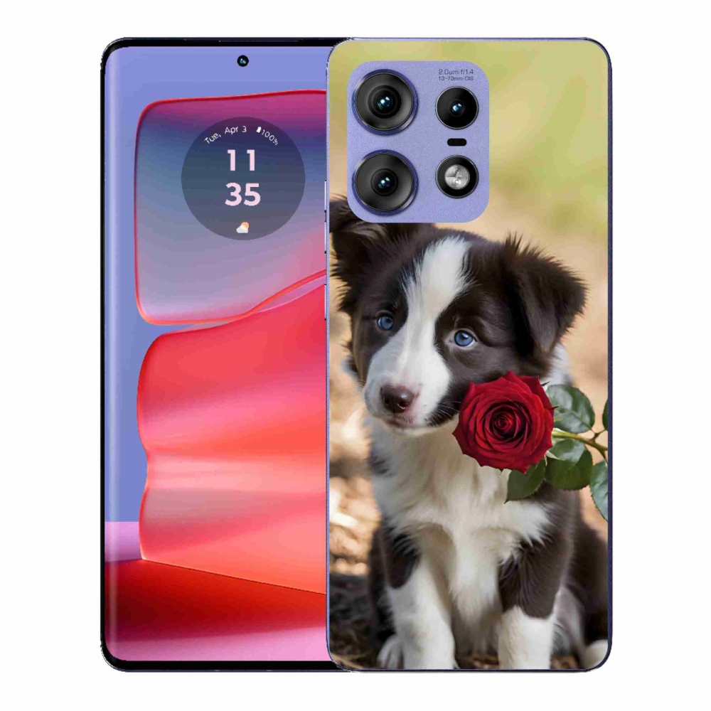 Gélový kryt mmCase na Motorola Edge 50 Pro - roztomilá border kólia s ružou