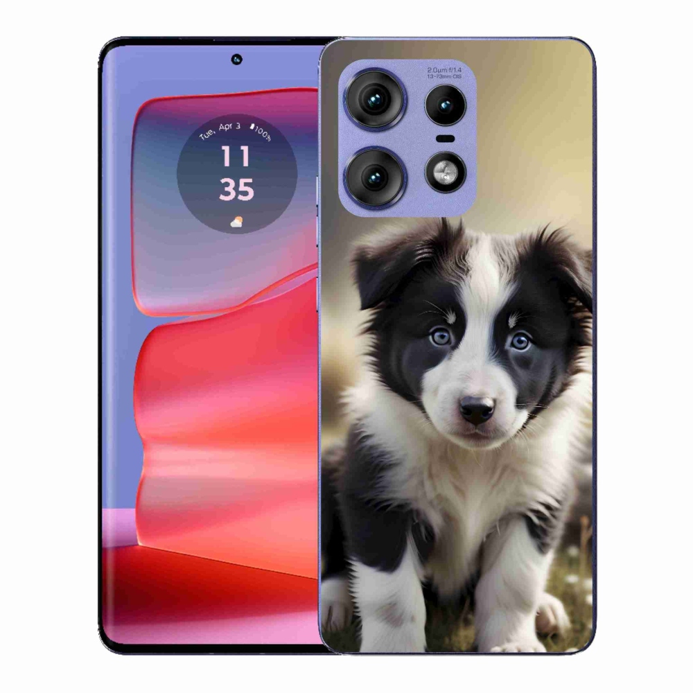 Gélový kryt mmCase na Motorola Edge 50 Pro - roztomilá border kólia