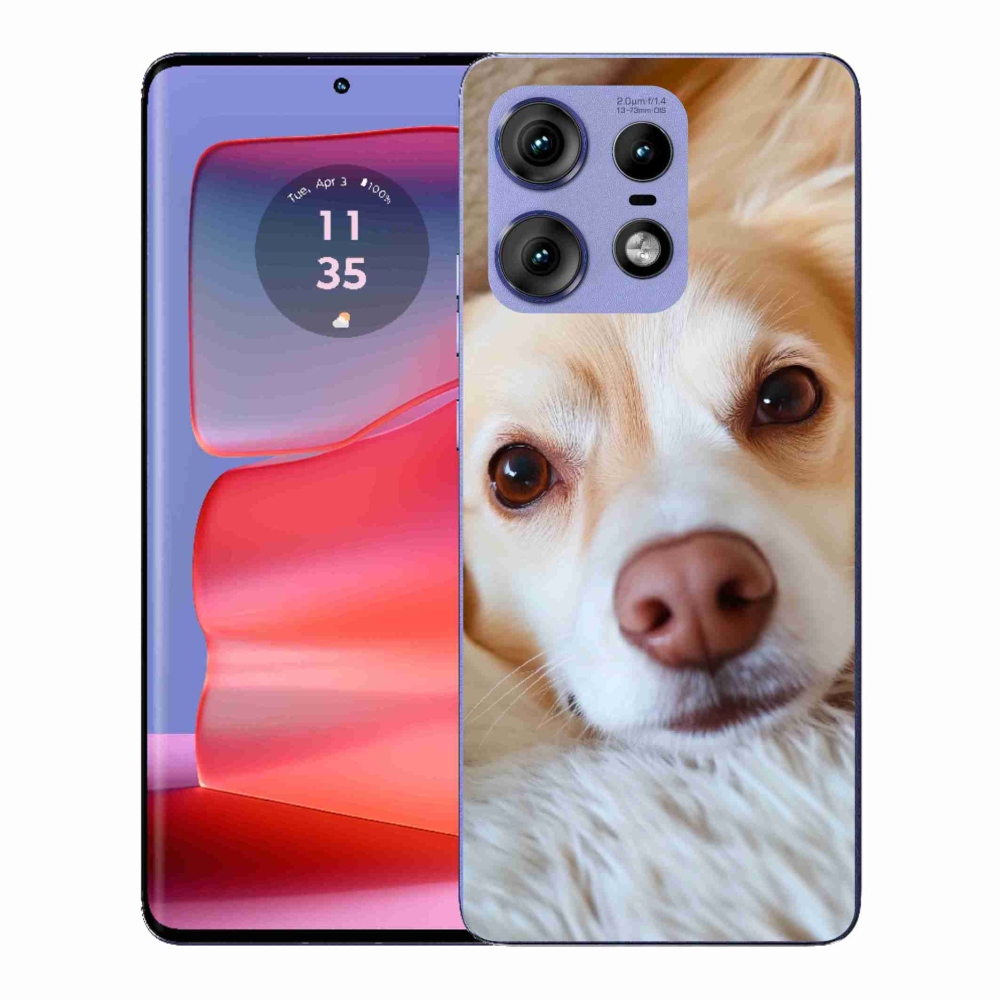 Gélový kryt mmCase na Motorola Edge 50 Pro - Roztomilá čivava