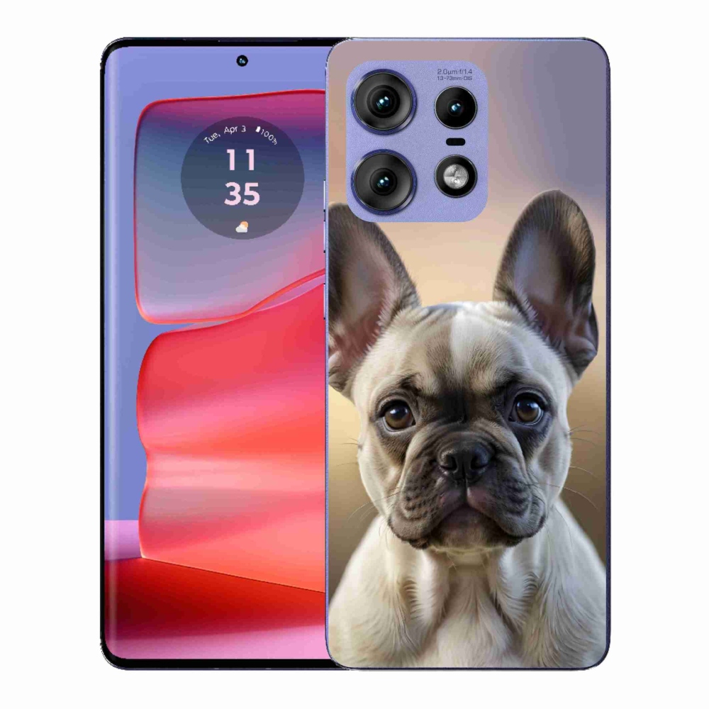 Gélový kryt mmCase na Motorola Edge 50 Pro - roztomilý francúzsky buldoček