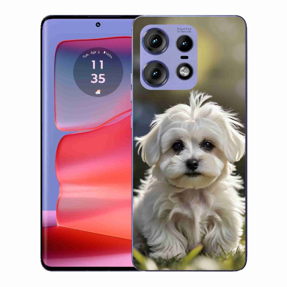 Gélový kryt mmCase na Motorola Edge 50 Pro - roztomilý maltézsky psík
