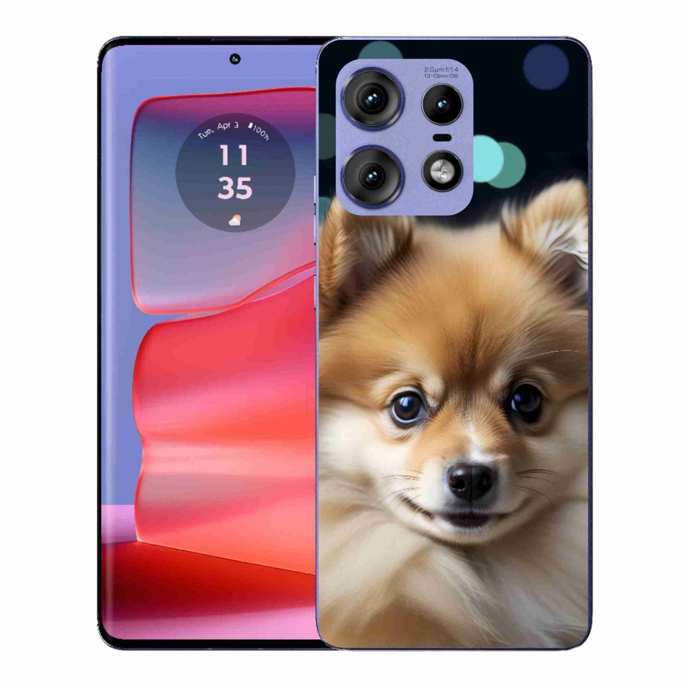 Gélový kryt mmCase na Motorola Edge 50 Pro - roztomilý pomeranian