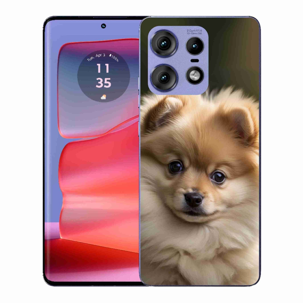 Gélový kryt mmCase na Motorola Edge 50 Pro - roztomilý pomeranian 2