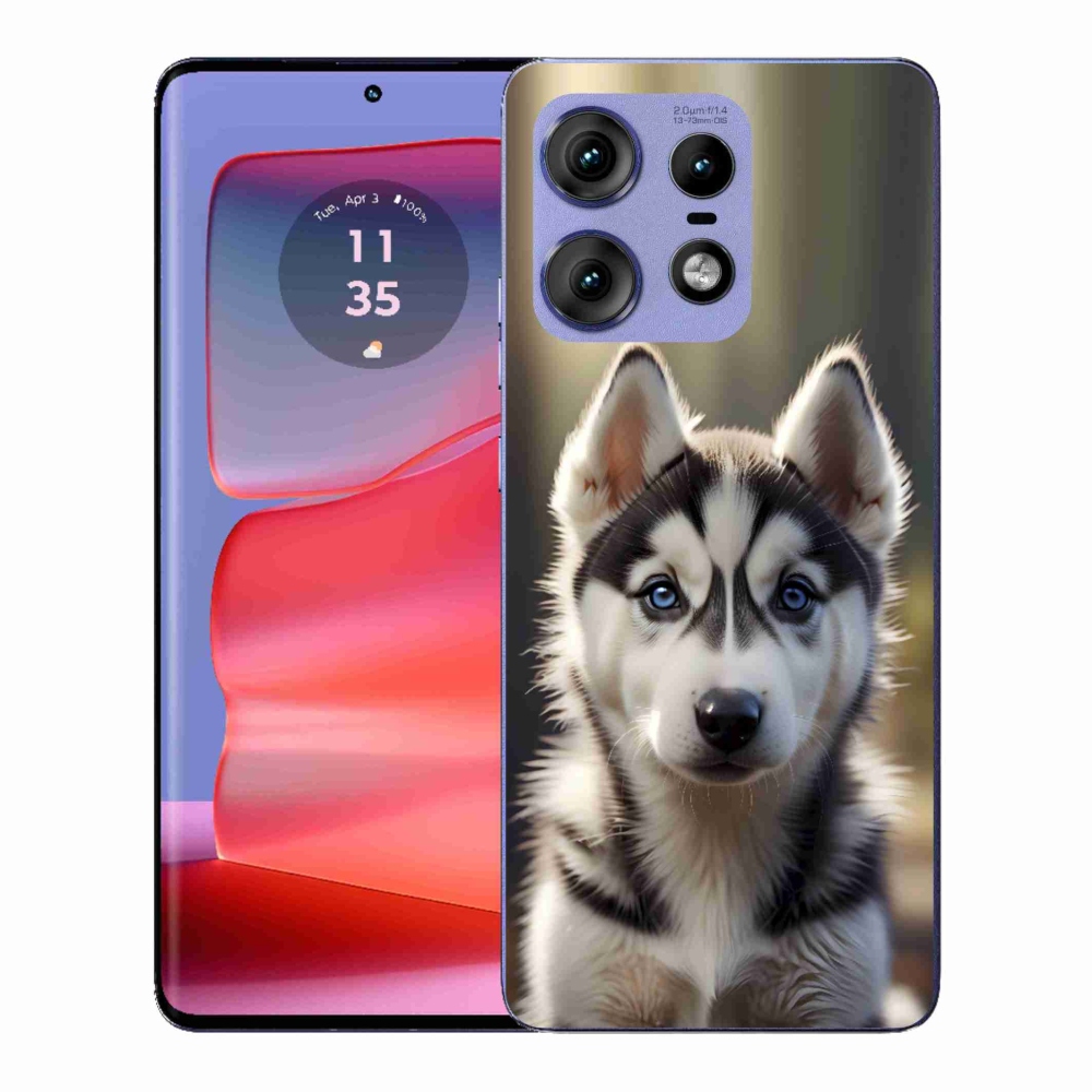 Gélový kryt mmCase na Motorola Edge 50 Pro - roztomilý sibírsky husky