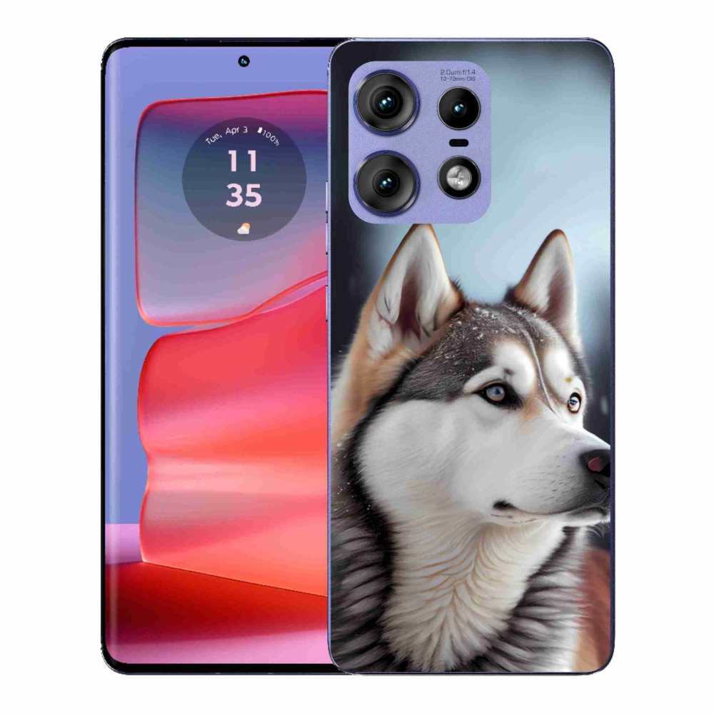 Gélový kryt mmCase na Motorola Edge 50 Pro - sibírsky husky