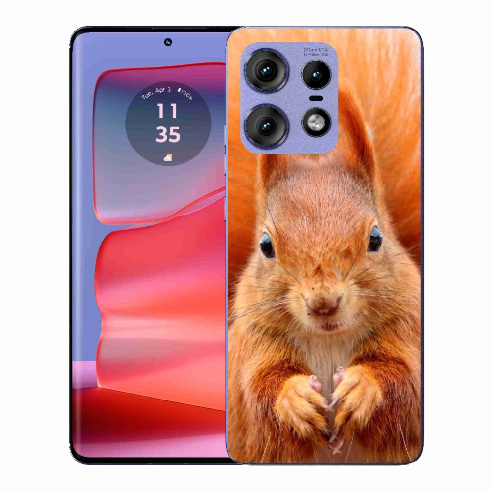 Gélový kryt mmCase na Motorola Edge 50 Pro - veverička