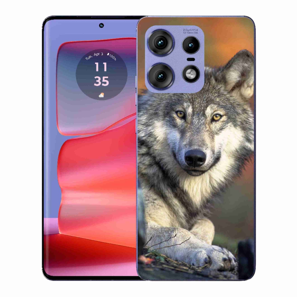 Gélový kryt mmCase na Motorola Edge 50 Pro - vlk
