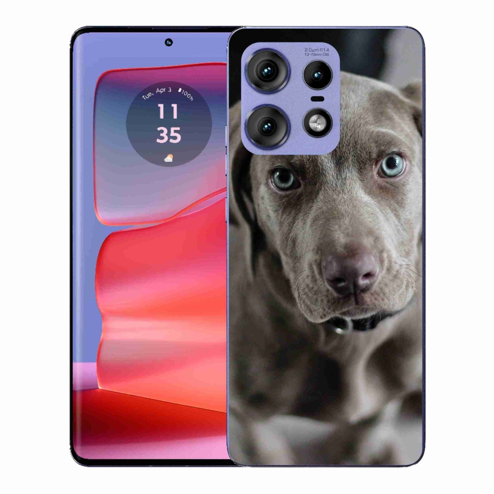 Gélový kryt mmCase na Motorola Edge 50 Pro - weimarský stavač