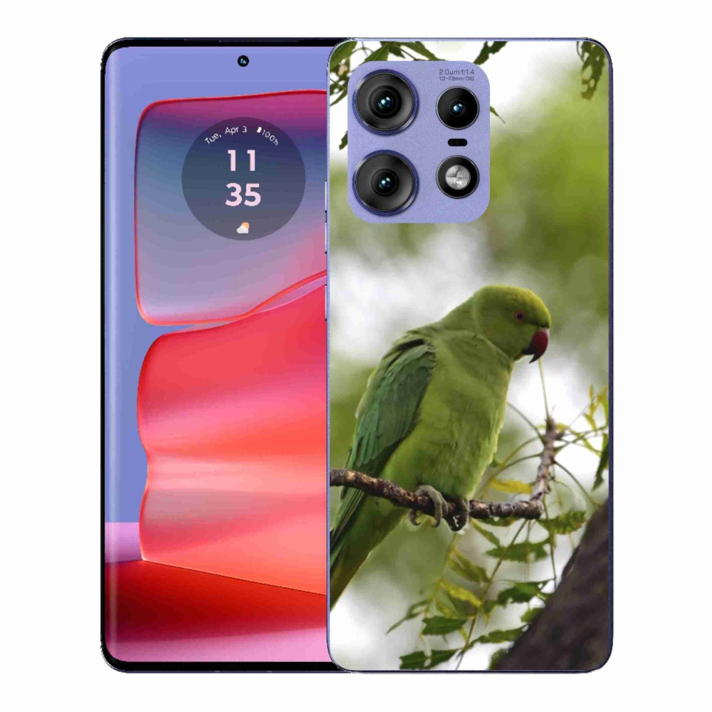 Gélový kryt mmCase na Motorola Edge 50 Pro - zelený papagáj