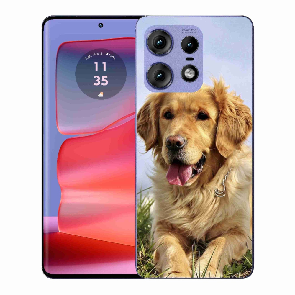 Gélový kryt mmCase na Motorola Edge 50 Pro - zlatý retriever