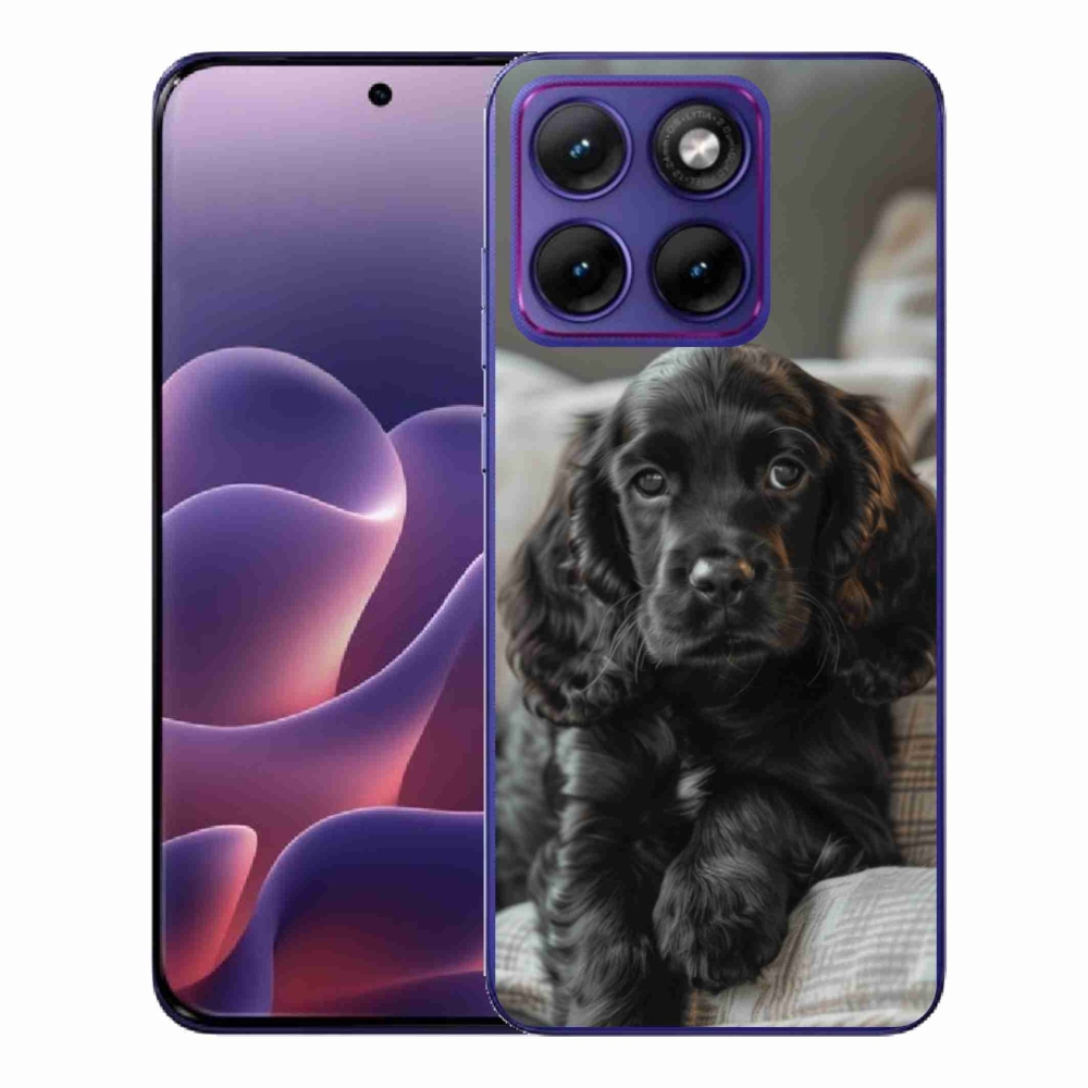 Gélový kryt mmCase na Motorola Edge 70 Fusion - anglický kokeršpaniel