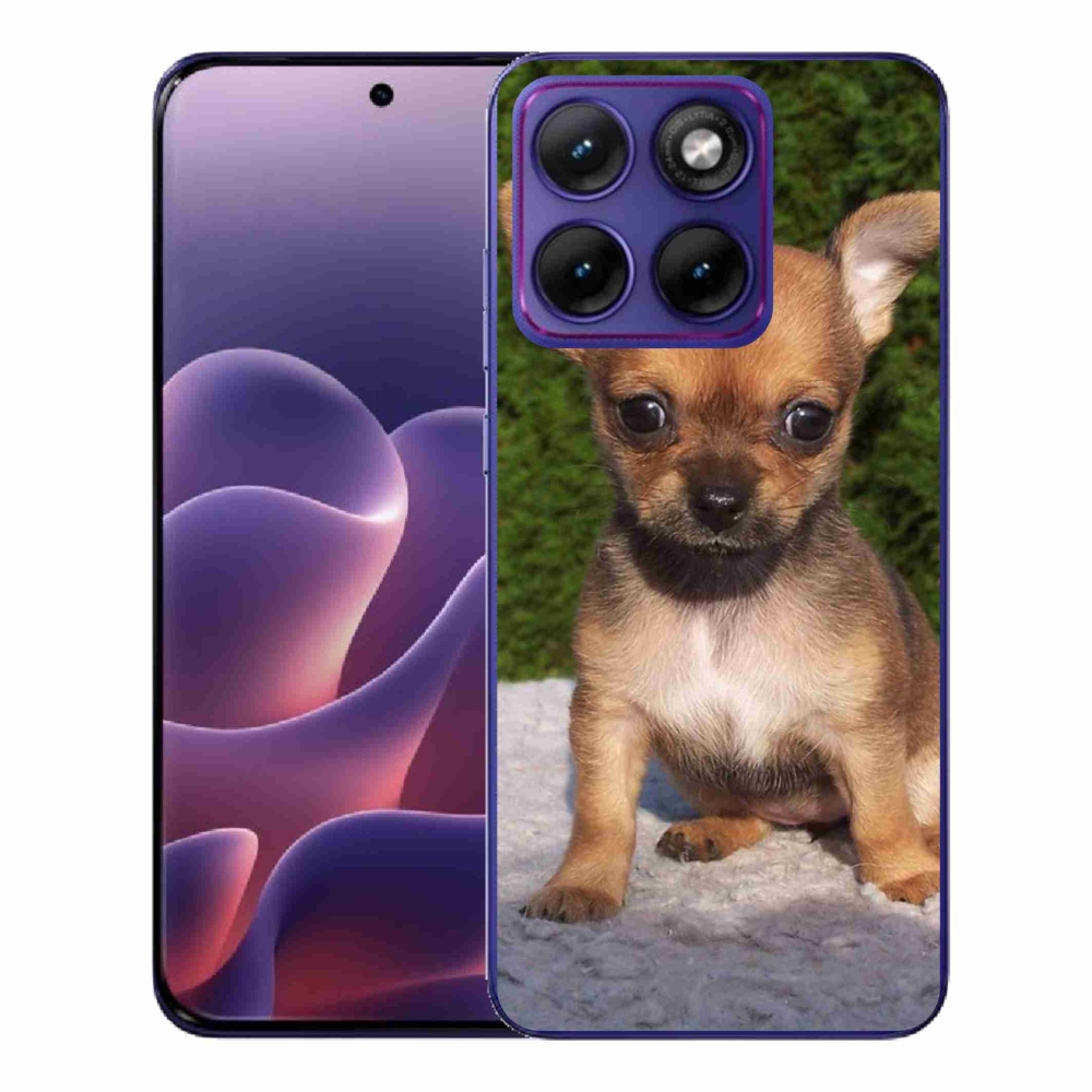 Gélový kryt mmCase na Motorola Edge 70 Fusion - čivava 3