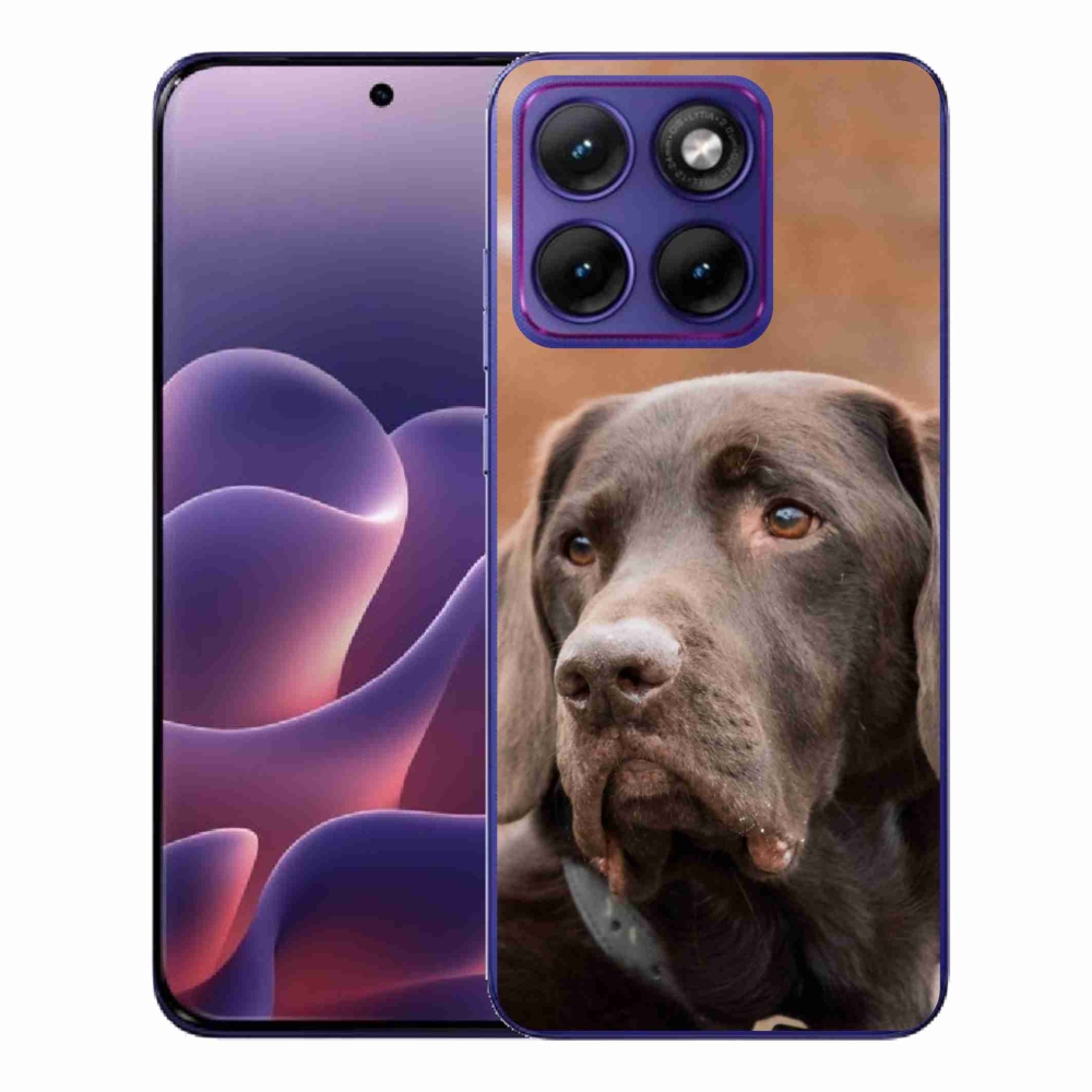 Gélový kryt mmCase na Motorola Edge 70 Fusion - hnedý labrador