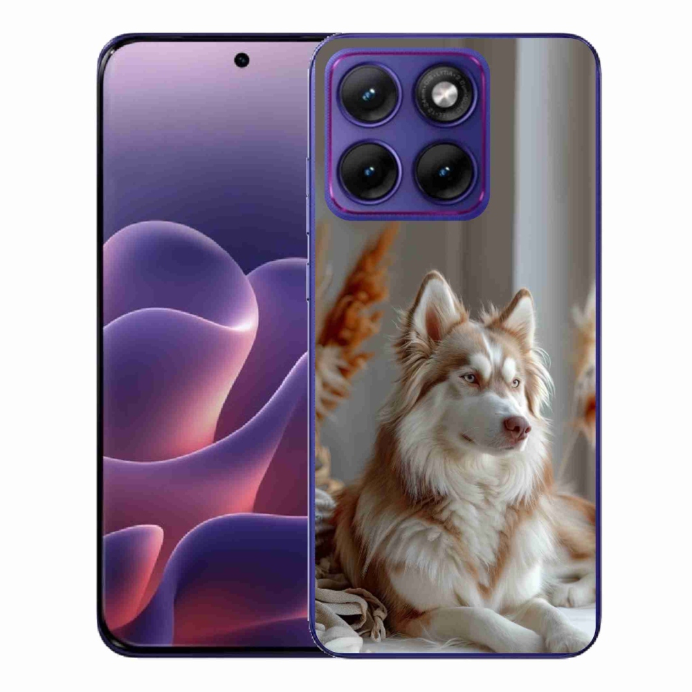 Gélový kryt mmCase na Motorola Edge 70 Fusion - pokojný sibírsky husky