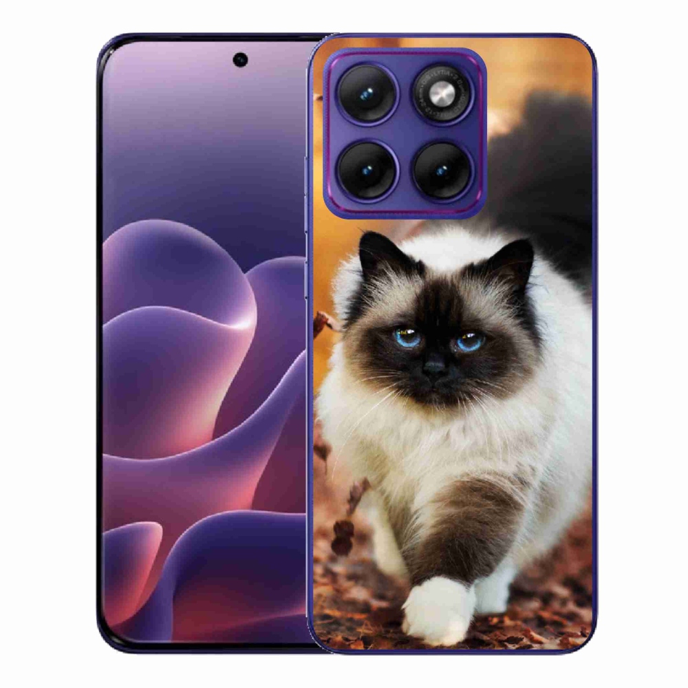 Gélový kryt mmCase na Motorola Edge 70 Fusion - mačka
