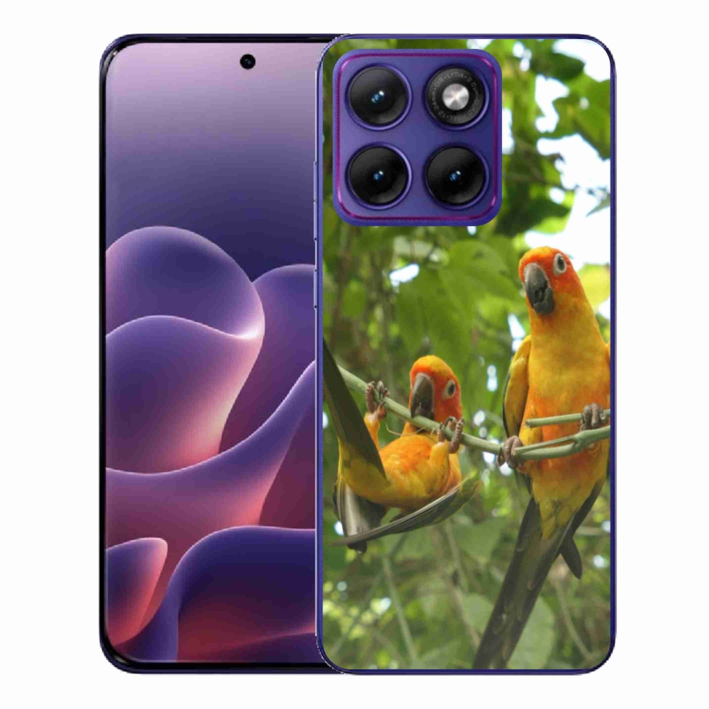 Gélový kryt mmCase na Motorola Edge 70 Fusion - papagáje aratingy