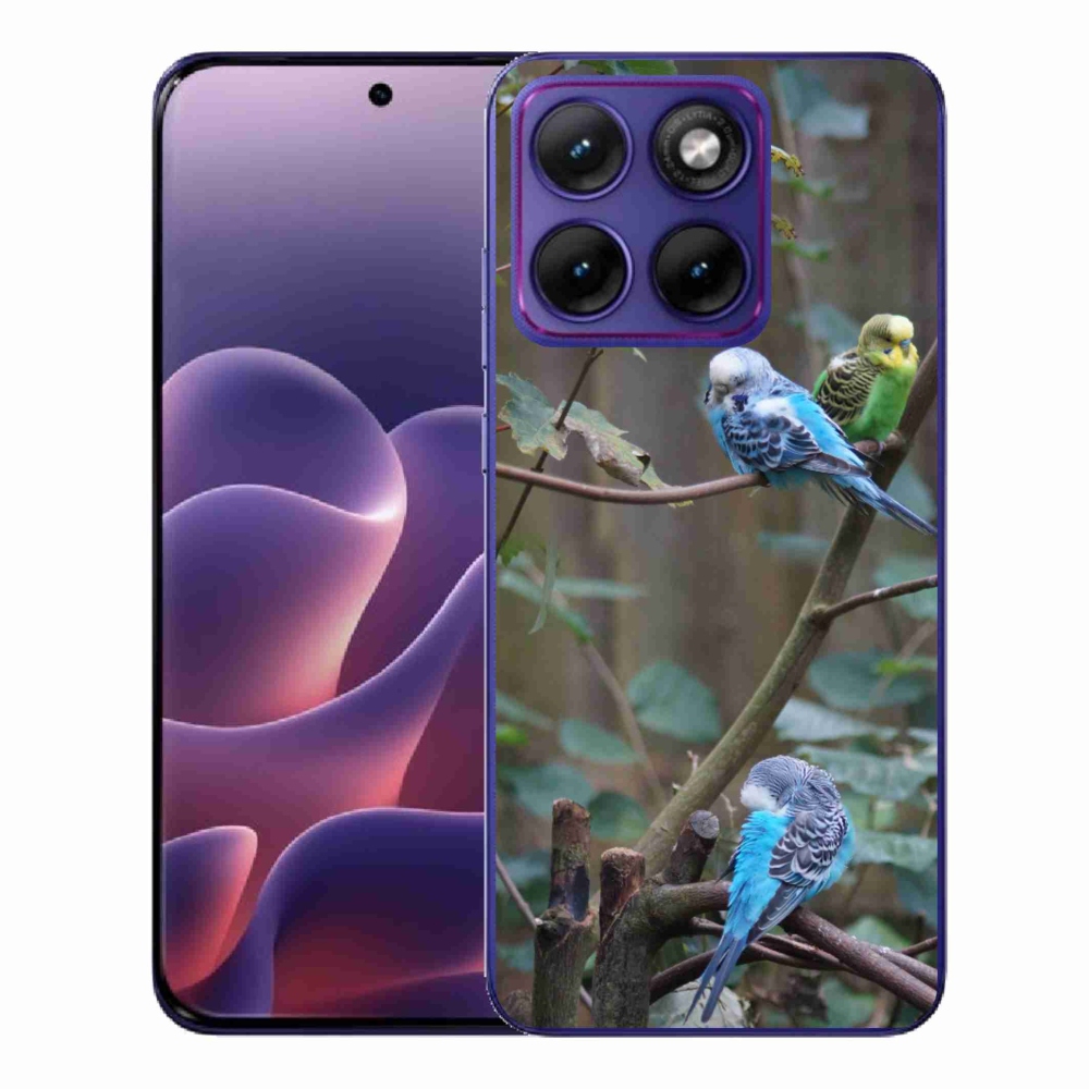 Gélový kryt mmCase na Motorola Edge 70 Fusion - papagáje na vetve