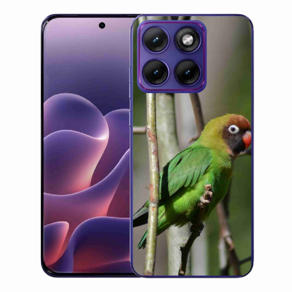 Gélový kryt mmCase na Motorola Edge 70 Fusion - papagáj agapornis
