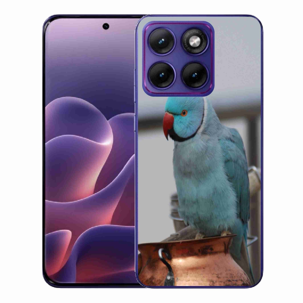 Gélový kryt mmCase na Motorola Edge 70 Fusion - papagáj Alexandr modrý