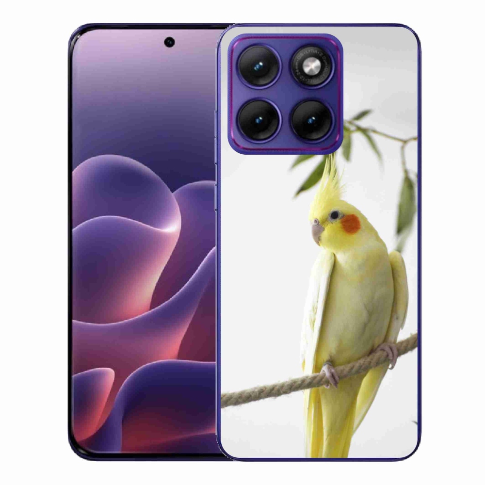 Gélový kryt mmCase na Motorola Edge 70 Fusion - papagáj korela chocholatá