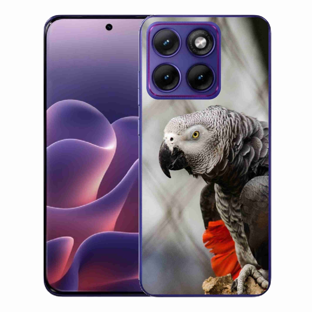 Gélový kryt mmCase na Motorola Edge 70 Fusion - papagáj žako 3