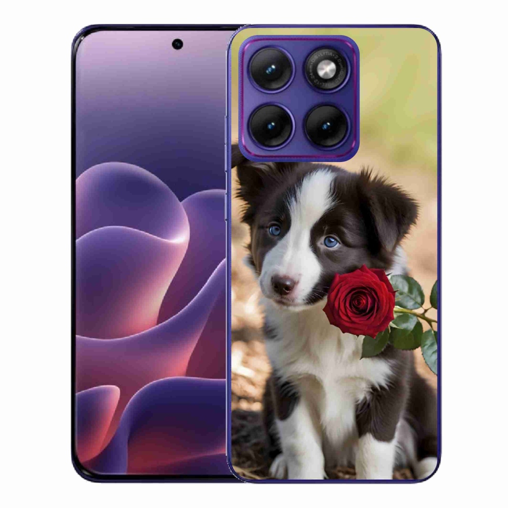 Gélový kryt mmCase na Motorola Edge 70 Fusion - roztomilá border kólia s ružou