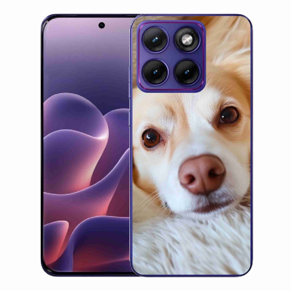 Gélový kryt mmCase na Motorola Edge 70 Fusion - Roztomilá čivava