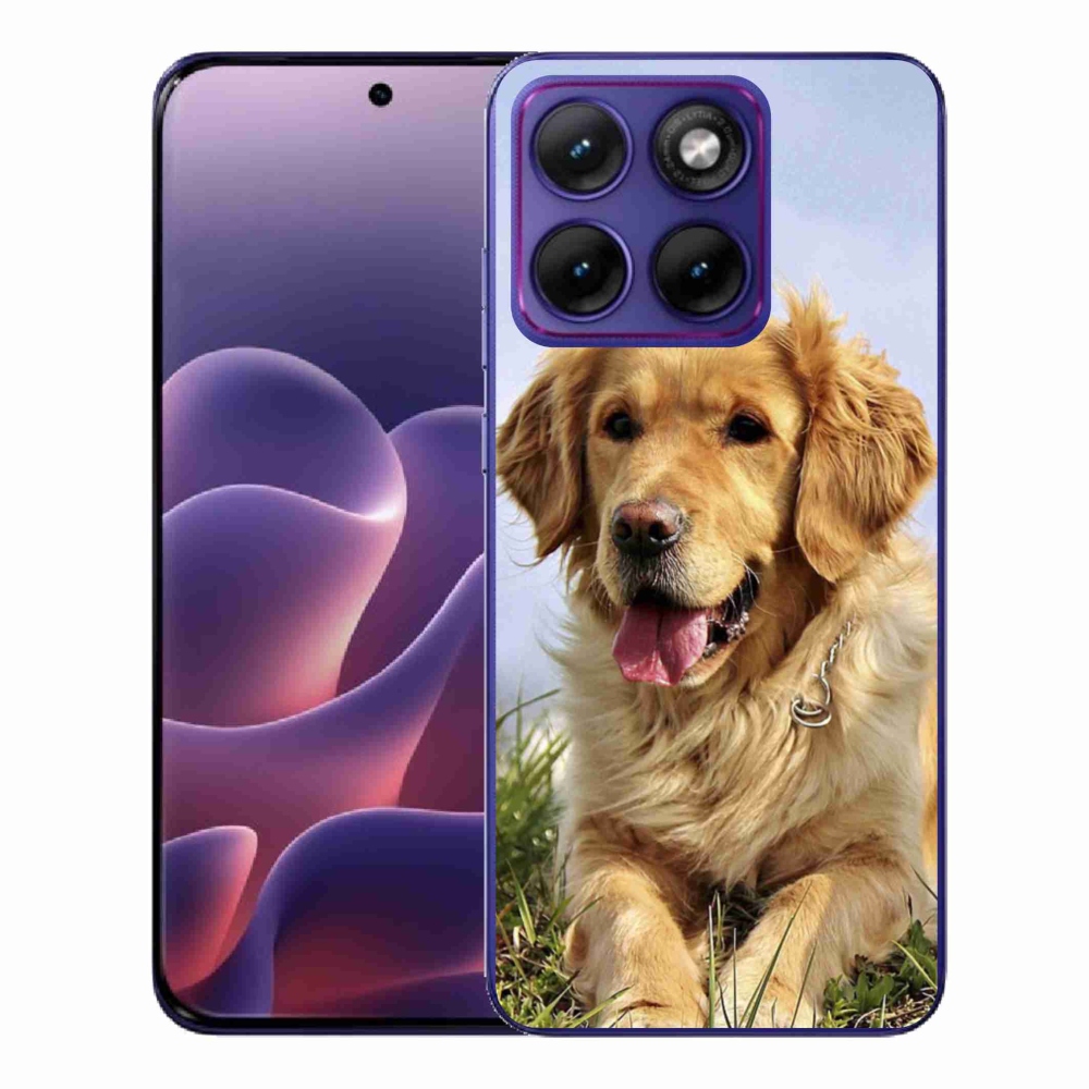 Gélový kryt mmCase na Motorola Edge 70 Fusion - zlatý retriever
