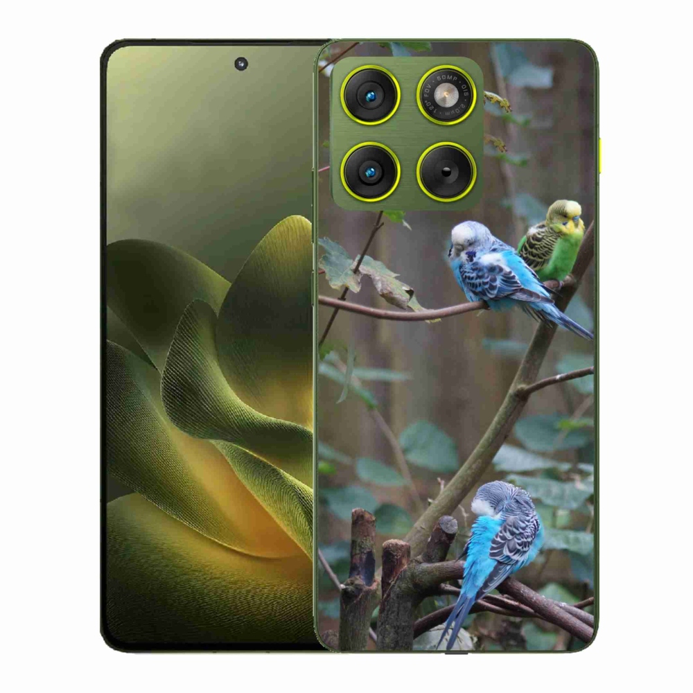 Gélový kryt mmCase na Motorola Edge 70 - papagáje na vetve