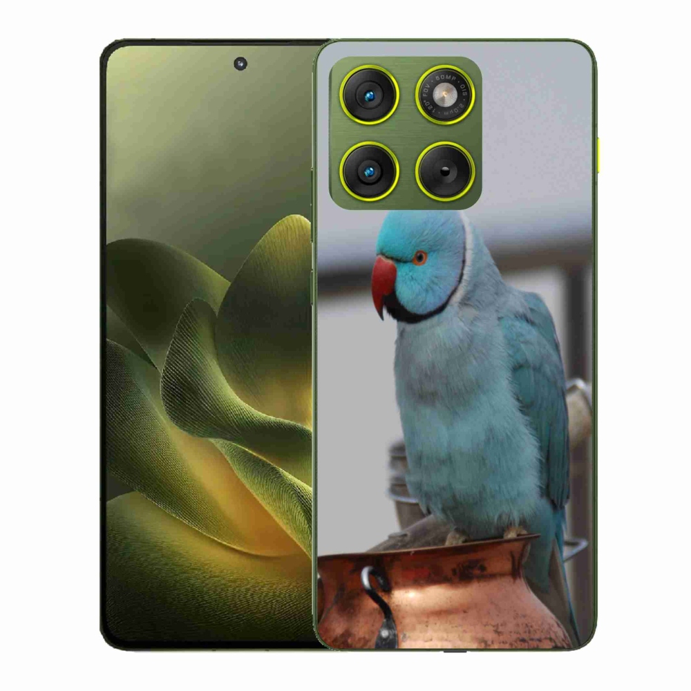 Gélový kryt mmCase na Motorola Edge 70 - papagáj Alexandr modrý