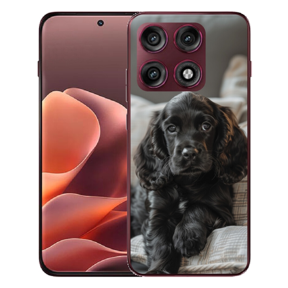 Gélový kryt mmCase na Motorola Edge 70 Pro - anglický kokeršpaniel