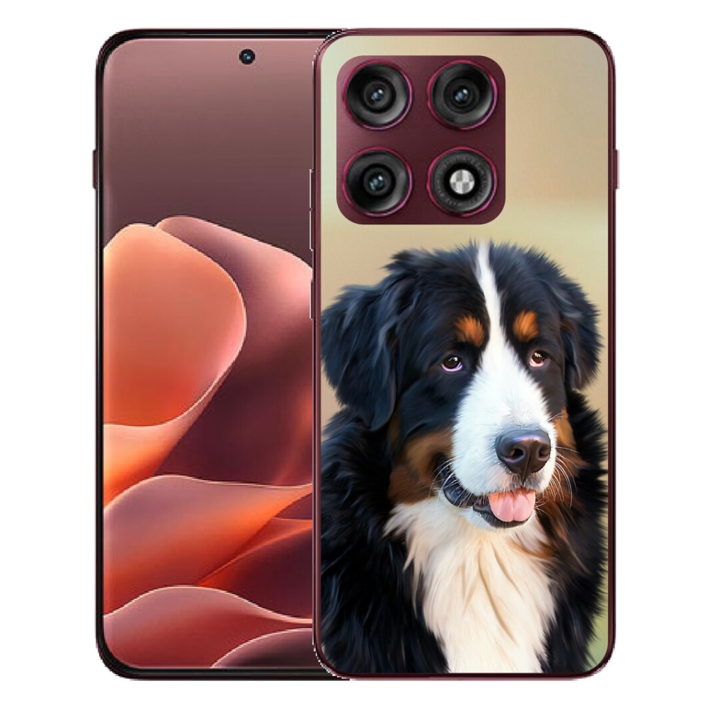 Gélový kryt mmCase na Motorola Edge 70 Pro - bernský salašnícky pes