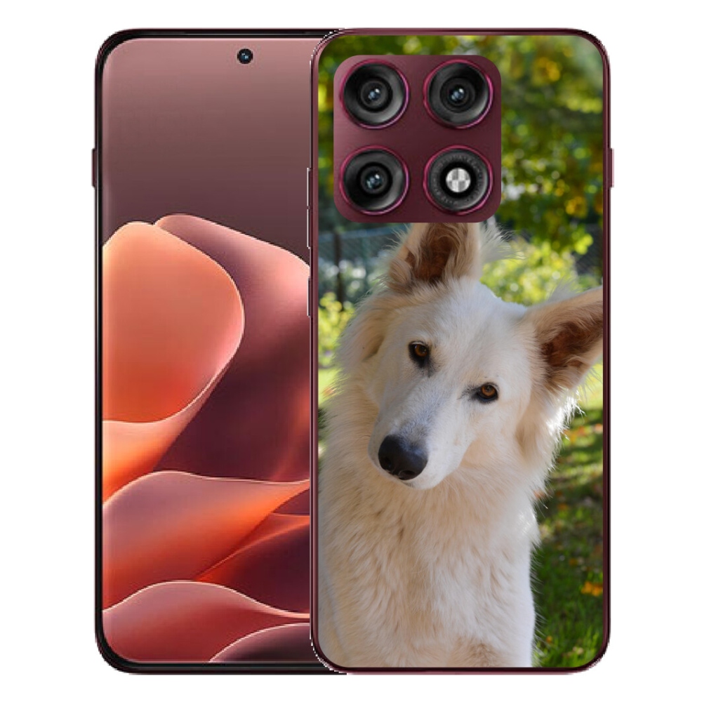 Gélový kryt mmCase na Motorola Edge 70 Pro - biely švajčiarsky ovčiak 1
