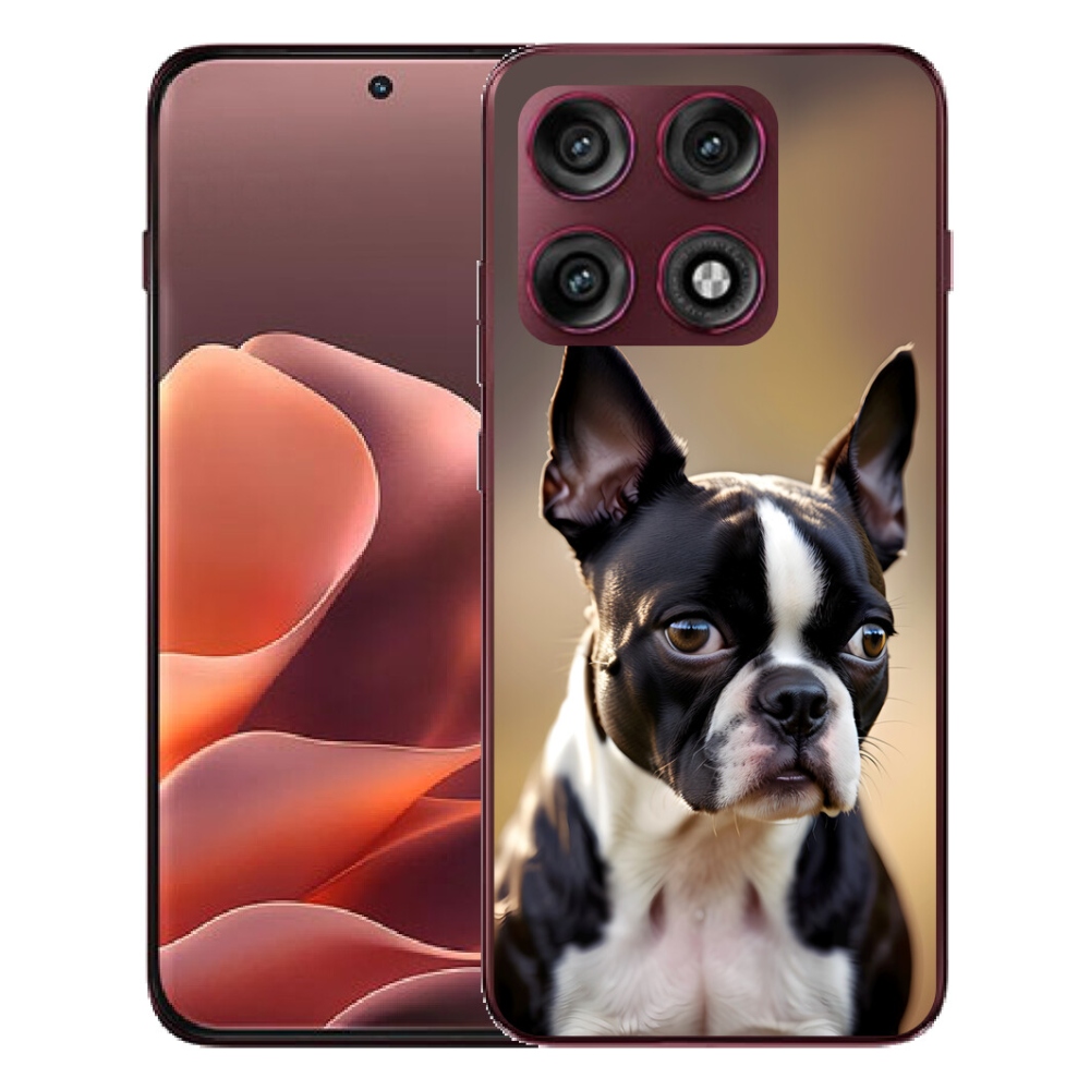 Gélový kryt mmCase na Motorola Edge 70 Pro - bostonský teriér