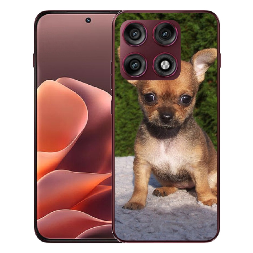 Gélový kryt mmCase na Motorola Edge 70 Pro - čivava 3