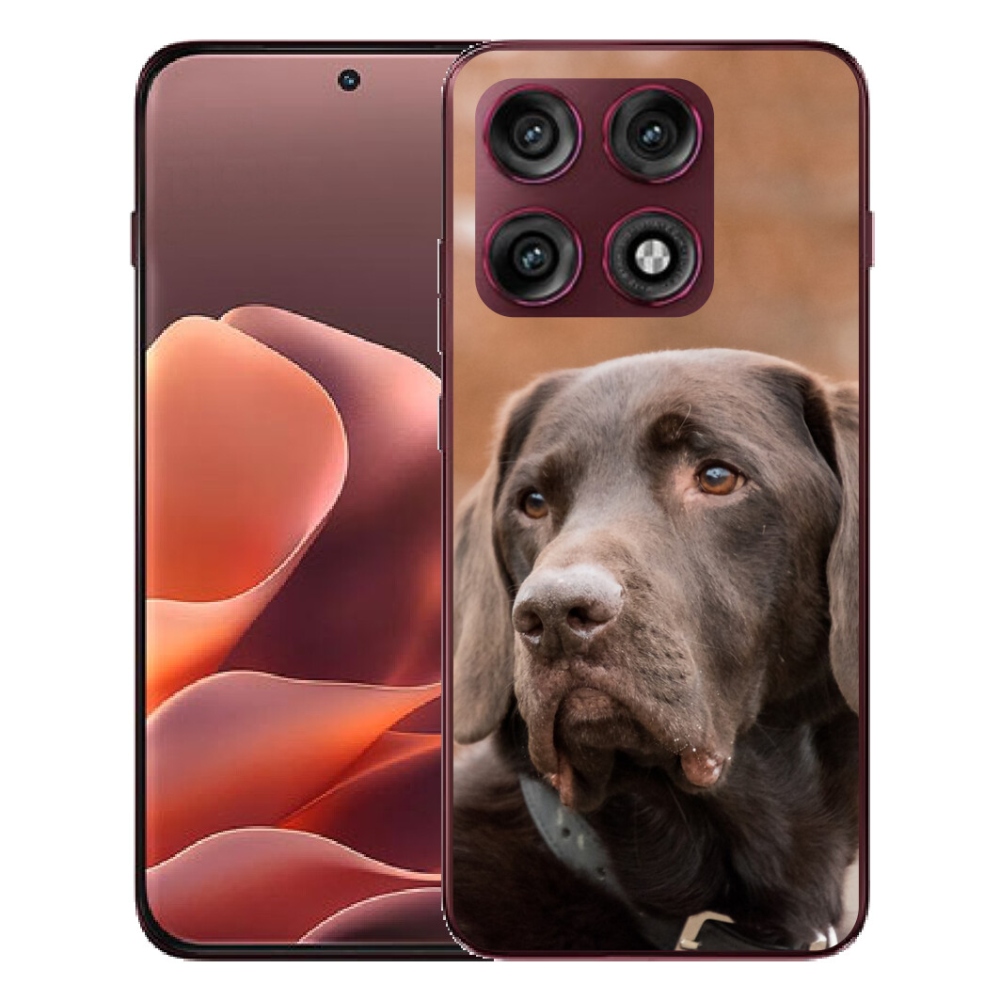 Gélový kryt mmCase na Motorola Edge 70 Pro - hnedý labrador