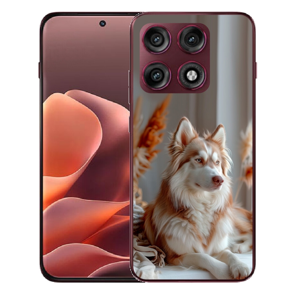 Gélový kryt mmCase na Motorola Edge 70 Pro - pokojný sibírsky husky